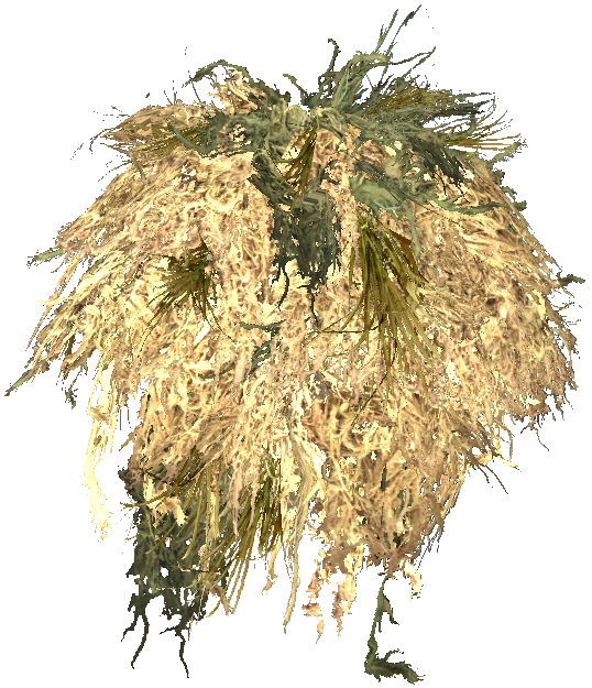 Ghillie Bushrag en DayZ - Resultado del crafteo